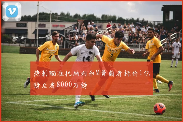 热刺瞄准托纳利和M费前者标价1亿镑后者8000万镑